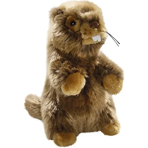 Carl Dick Murmeltier - 17 cm