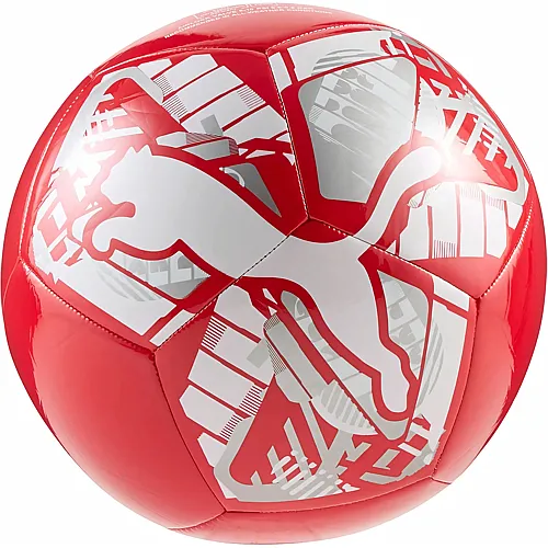 Puma Ball  BIG CAT