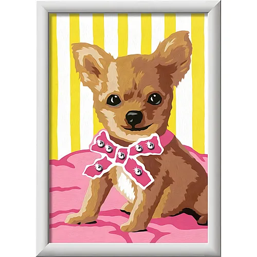 Ravensburger CreArt Malen nach Zahlen - Kleiner Chihuahua