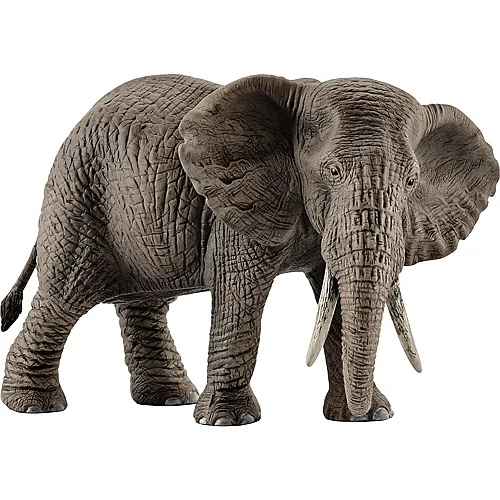 Schleich Wild Life Afrikanisches Elefantenweibchen