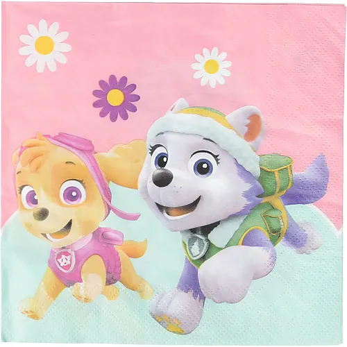 Papierservietten Skye & Everest 20Teile