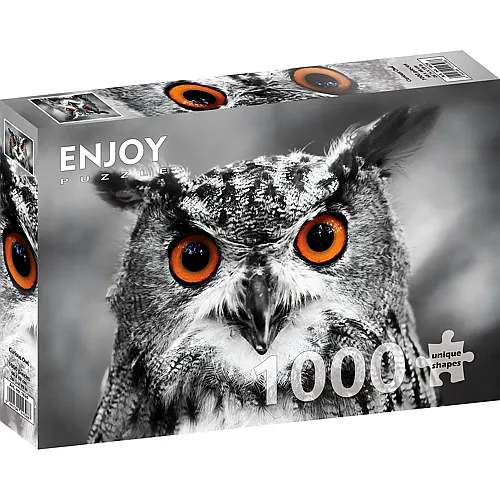 Enjoy Puzzle Neugierige Eule - 1000 Teile