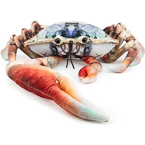 Zappi Co Blauer Geigenkrebs - 28 cm