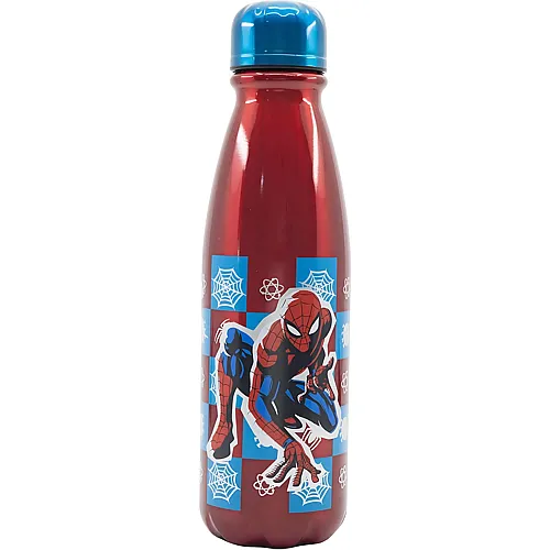 Aluminium Flasche 600ml