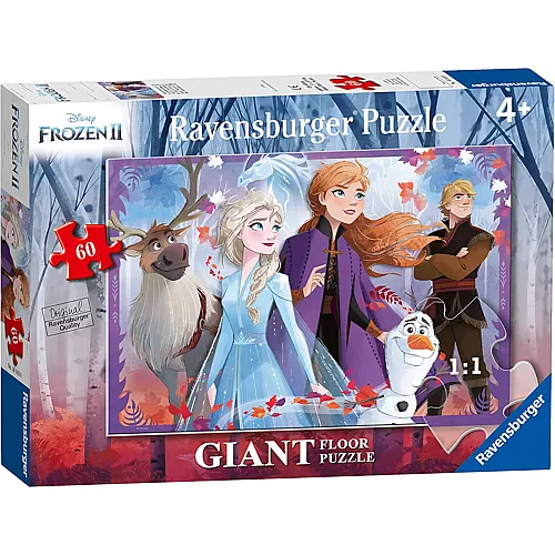 Disney Frozen 2 60Teile