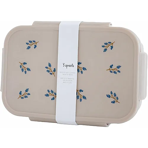3 Sprouts Bento Box Brotdose mit F�chern - 21.5 x 14 x 6.5 cm