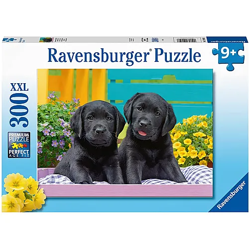 Labrador Welpen 300Teile