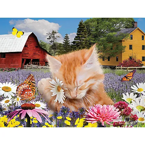 SunsOut Puzzle Karen Burke Ich Liebe Blumen (500Teile)