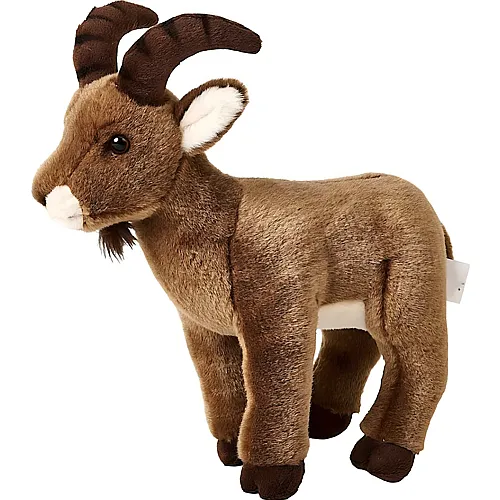 Steinbock 27cm