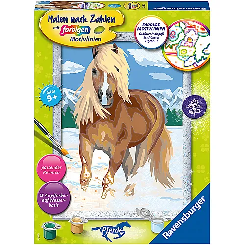 Ravensburger Malen nach Zahlen Farbige Motivlinien Haflinger im Schnee