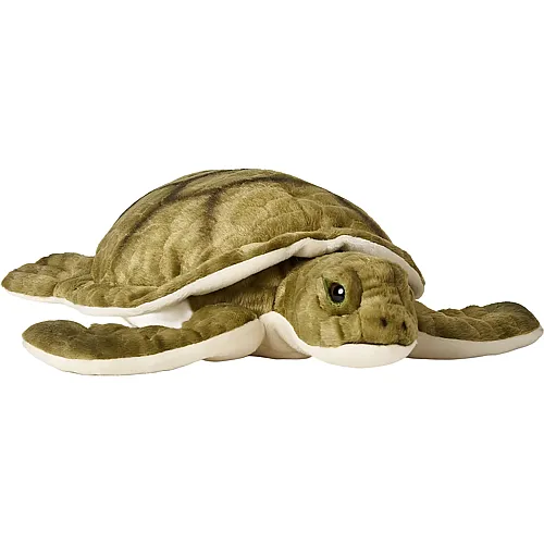 Gr�ne Meeresschildkr�te - 34 cm