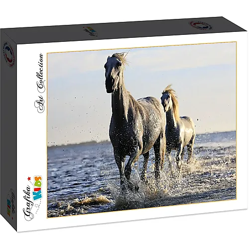 Grafika Puzzle Art Collection Grafika Kids Pferde - 12 Teile