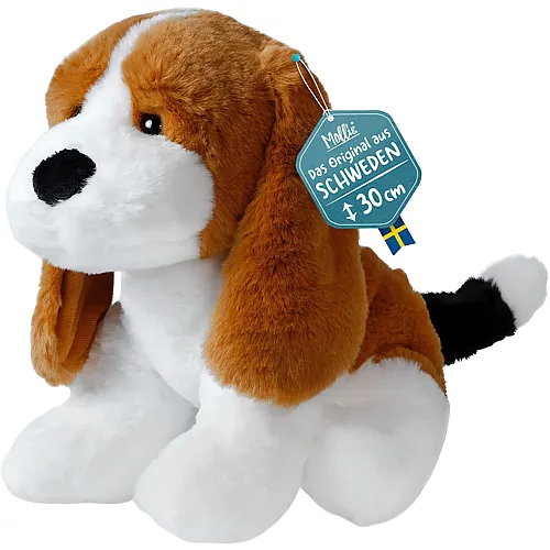 Beagle - 30 cm