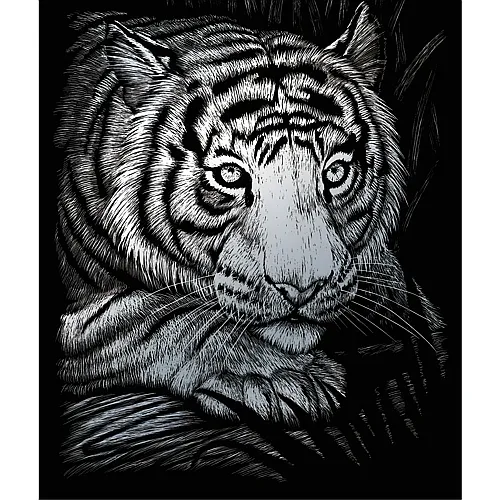 Royal & Langnickel R&l Gravures D'art Std Argent Tigre Blanc 21.3x29.5cm