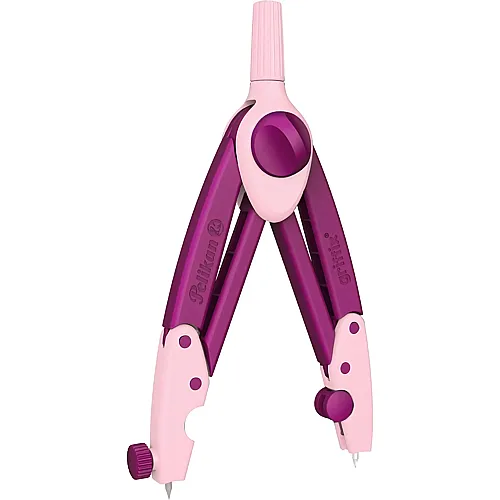 Zirkel Sweet Berry