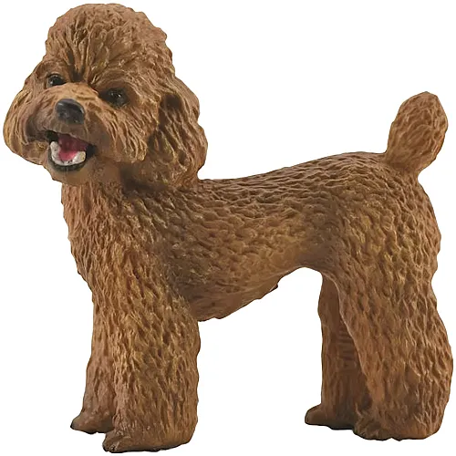CollectA Farm Time Cats & Dogs Poodle