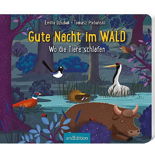 ars Edition Gute Nacht im Wald