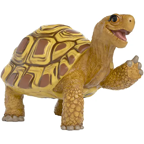 Henrietta die Schildkr�te
