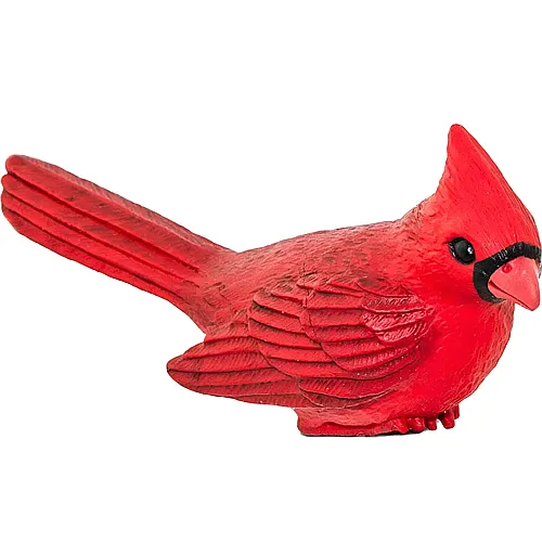 Safari Ltd. Incredible Creatures Kardinal