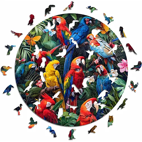 Colorful Parrots 200Teile