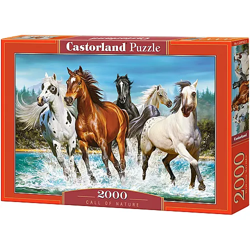 Castorland Puzzle Call of Nature (2000Teile)