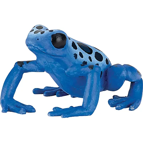 Blauer quatorial Frosch