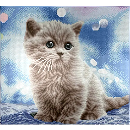 Katzenbaby