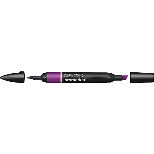 Winsor & Newton Promarker Stift mit 2 Spitzen Pflaume