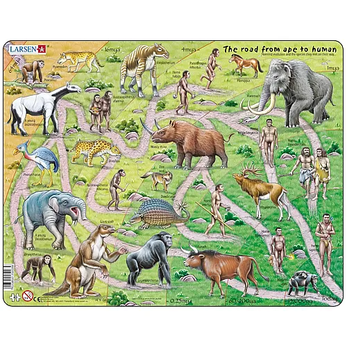 Larsen Puzzle Der Weg vom Affen zum Menschen (auf Englisch) - 83 Teile