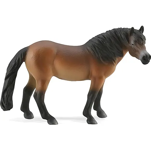 CollectA Horse Country Exmoor Pony Hengst