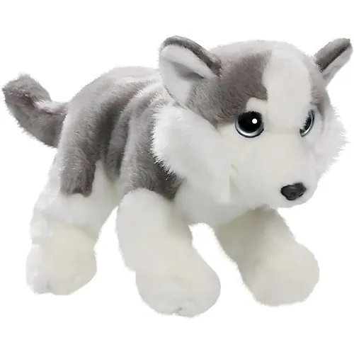 Carl Dick Husky mit gro�en Augen - 28 cm