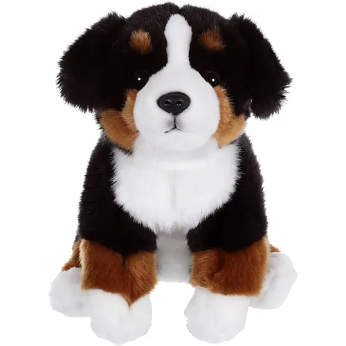 Gipsy Berner Sennenhund - 25 cm