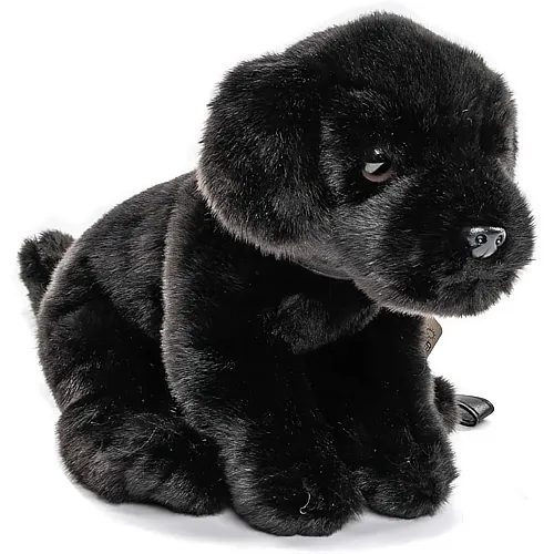 Labrador mit Leine Schwarz 23cm