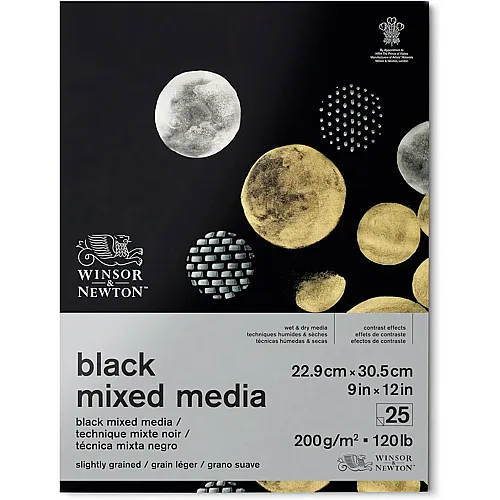 Winsor & Newton W&n Tonpapier IN Schwarz 25 Blatt, 200g/m�, 23 X 31cm