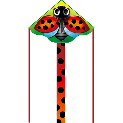 Ladybug