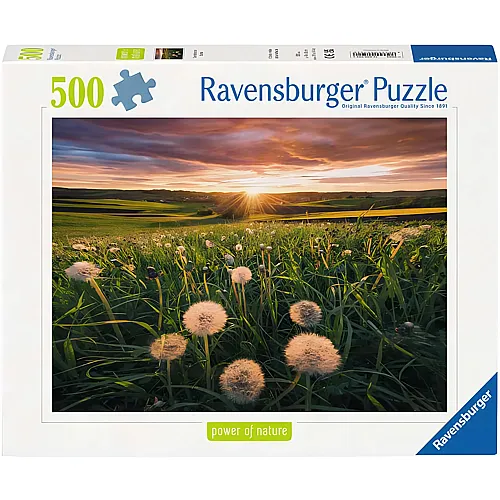 Pusteblumen im Sonnenuntergang 500Teile
