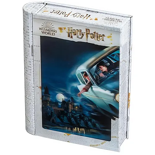 Philos Harry Potter 3D Puzzle Harry & Ron in Sammlerbox (300Teile)