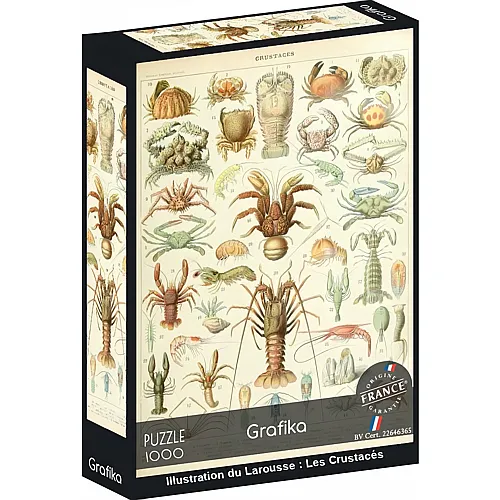Grafika Puzzle Illustration aus dem Larousse : Krebstiere - 1000 Teile
