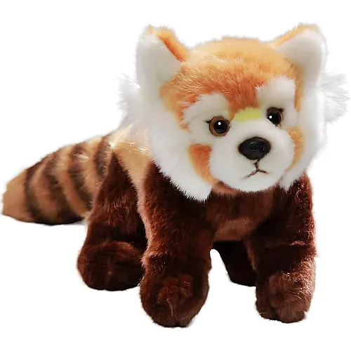 Panda roux - 24 cm
