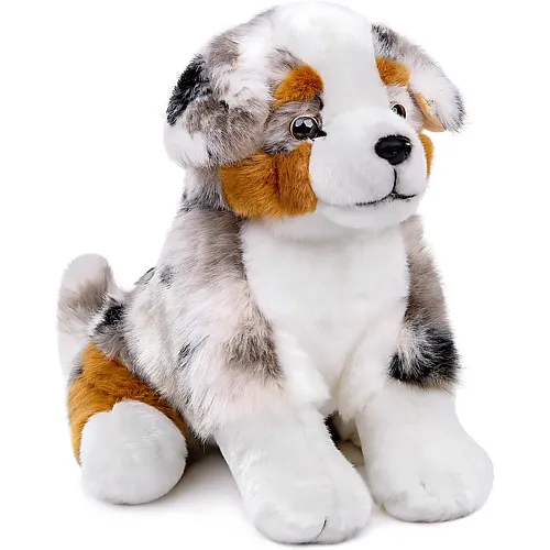 Australischer Sch�ferhund - 36 cm