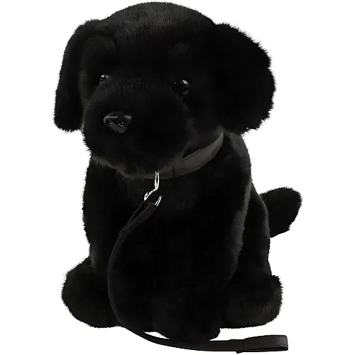Labrador Schwarz 35cm