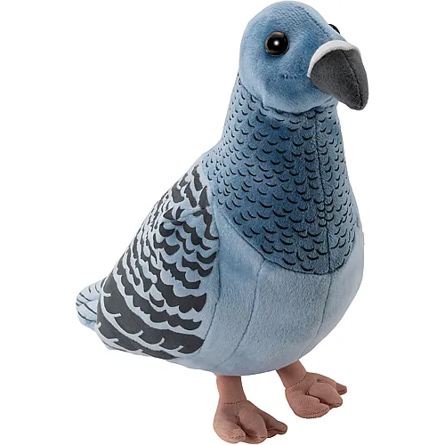 Carl Dick Stadttaube Blau - 24 cm