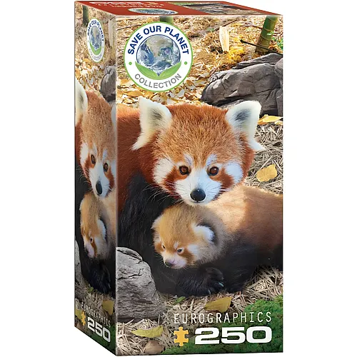 Eurographics Puzzle Save our Planet Rote Pandas (250Teile)