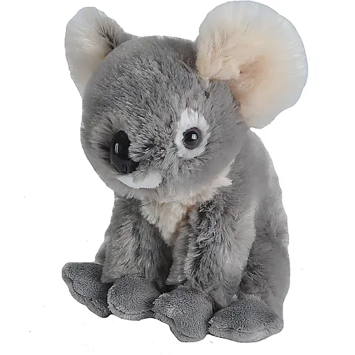 Cuddlekins Koala 20cm