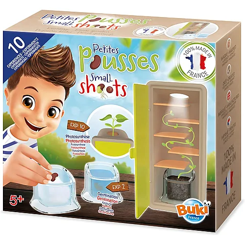 Buki Keimlinge � Entdecke die Welt der Pflanzen!