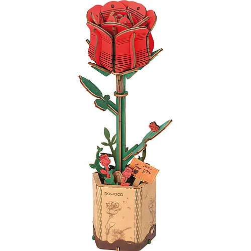 Robotime Red Rose
