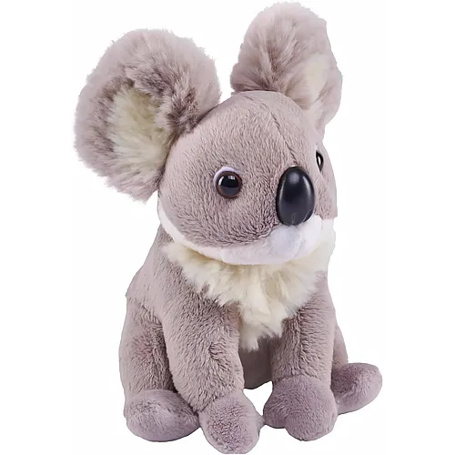 Koala 12cm