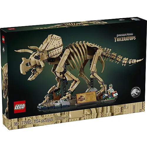 Dinosaurier-Fossilien: Triceratops 77985