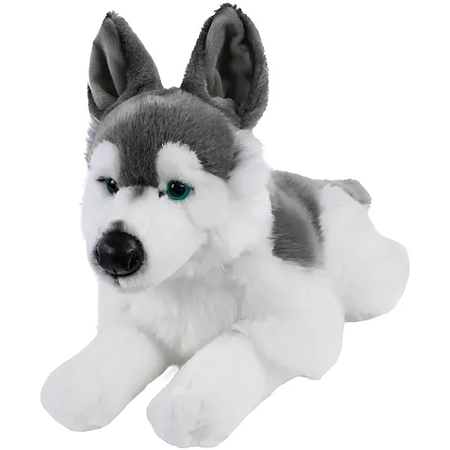Teddys Rothenburg Husky Skalli liegend - 44 cm