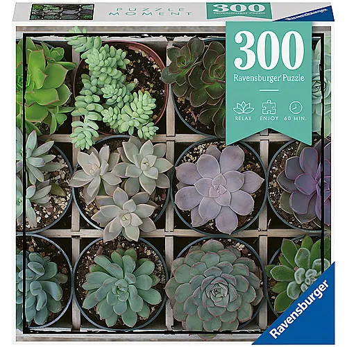 Ravensburger Puzzle Moment Green (300Teile)